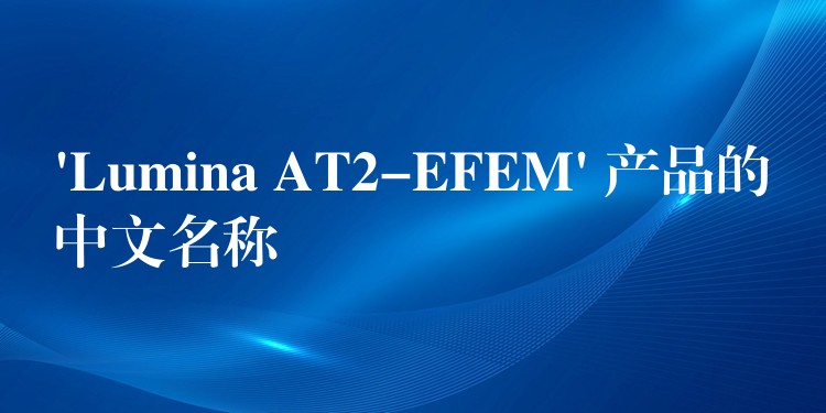 ‘Lumina AT2-EFEM’ 產品的中文名稱