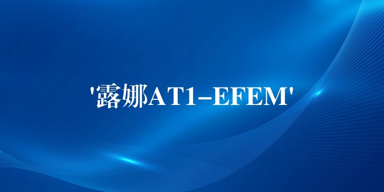 ‘露娜AT1-EFEM’