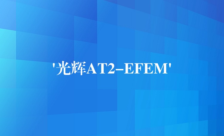 ‘光輝AT2-EFEM’