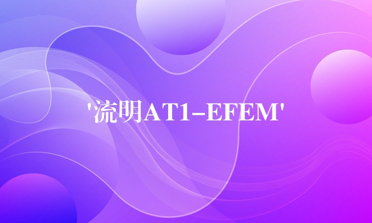 ‘流明AT1-EFEM’