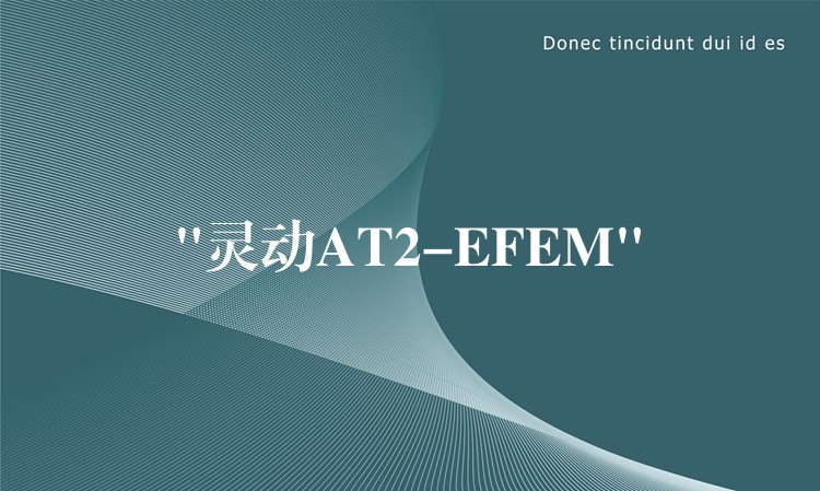 “靈動AT2-EFEM”