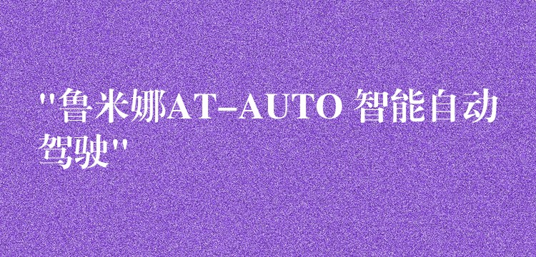 “魯米娜AT-AUTO 智能自動駕駛”