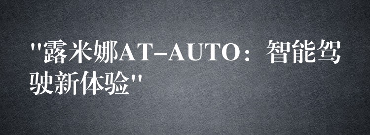 “露米娜AT-AUTO：智能駕駛新體驗”