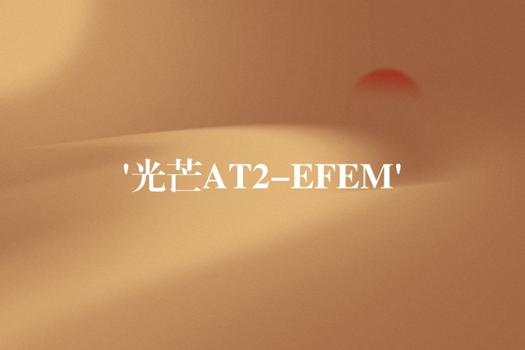 ‘光芒AT2-EFEM’