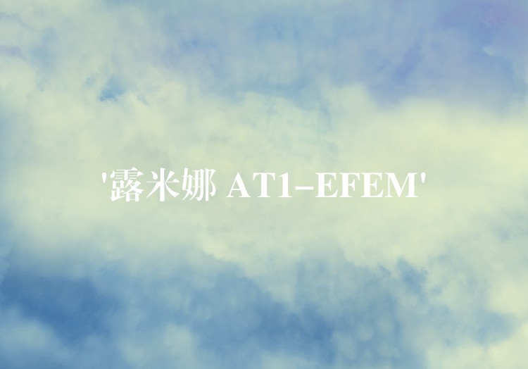 ‘露米娜 AT1-EFEM’