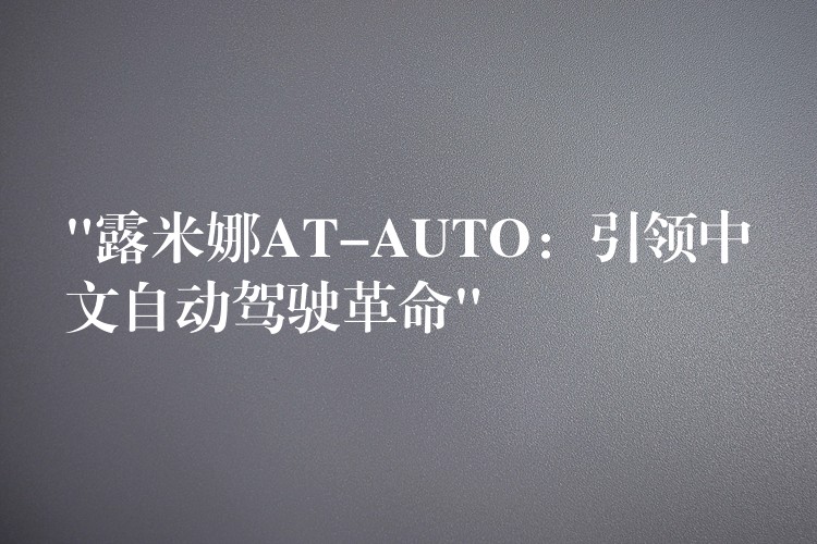 “露米娜AT-AUTO：引領中文自動駕駛革命”