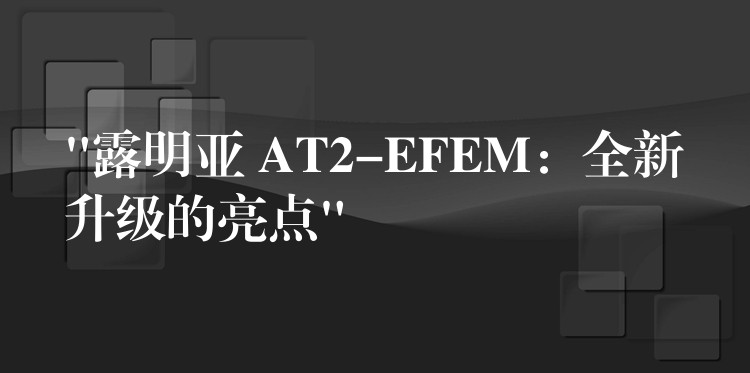 “露明亞 AT2-EFEM：全新升級的亮點”