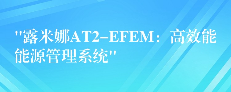 “露米娜AT2-EFEM：高效能能源管理系統(tǒng)”