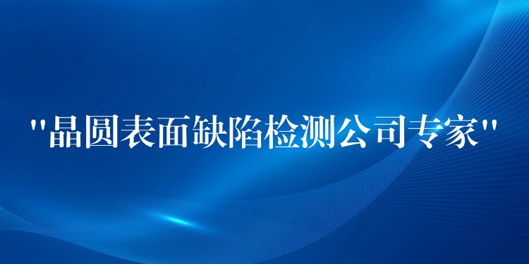 “晶圓表面缺陷檢測公司專家”