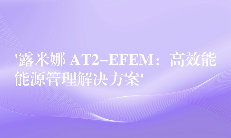 ‘露米娜 AT2-EFEM：高效能能源管理解決方案’