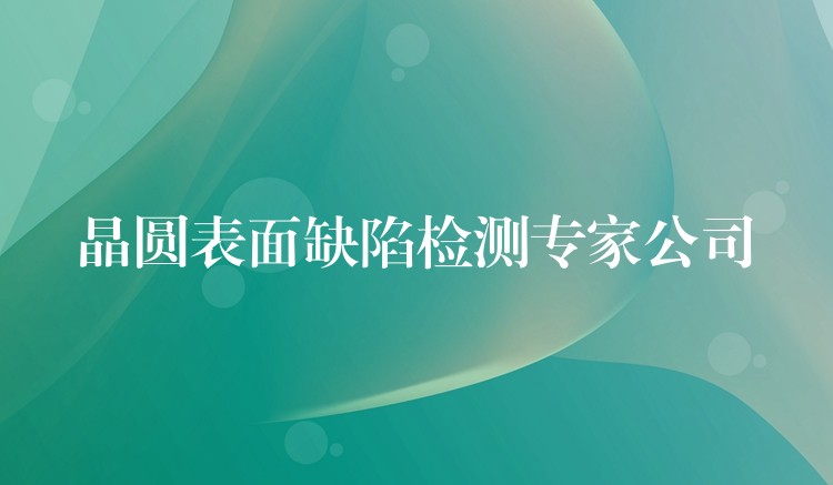 晶圓表面缺陷檢測專家公司