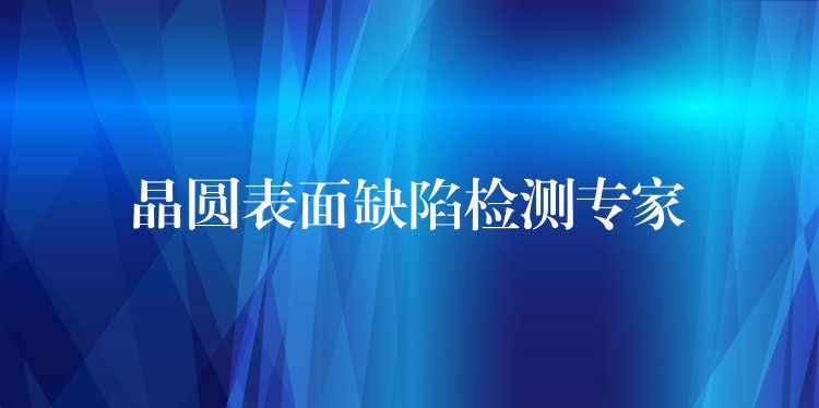 晶圓表面缺陷檢測專家