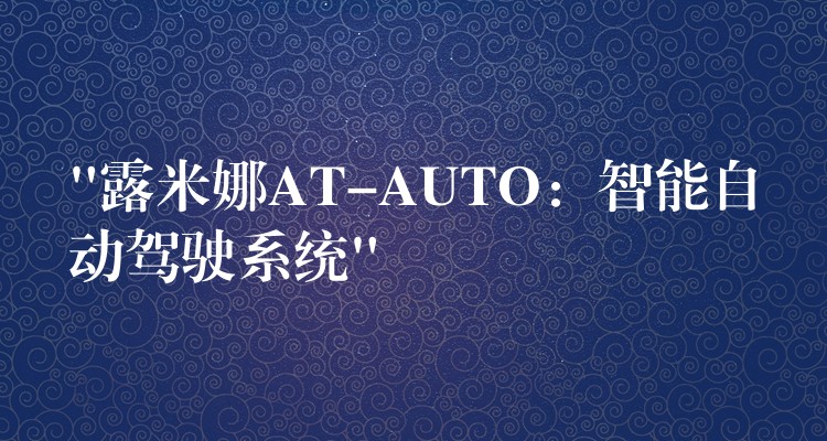 “露米娜AT-AUTO：智能自動(dòng)駕駛系統(tǒng)”