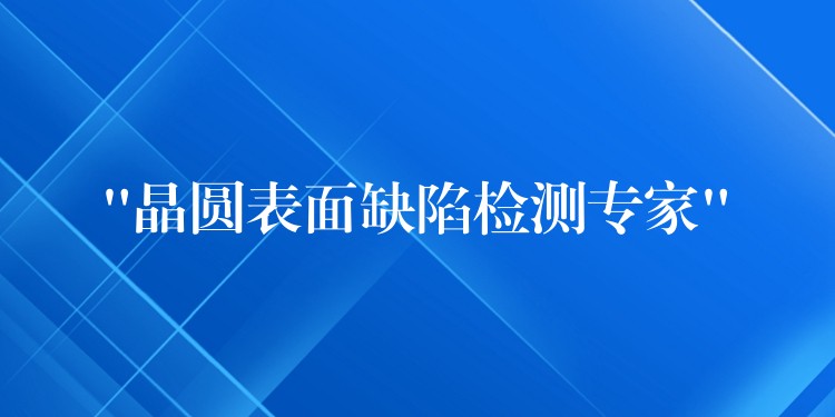 “晶圓表面缺陷檢測專家”