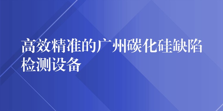 高效精準的廣州碳化硅缺陷檢測設備