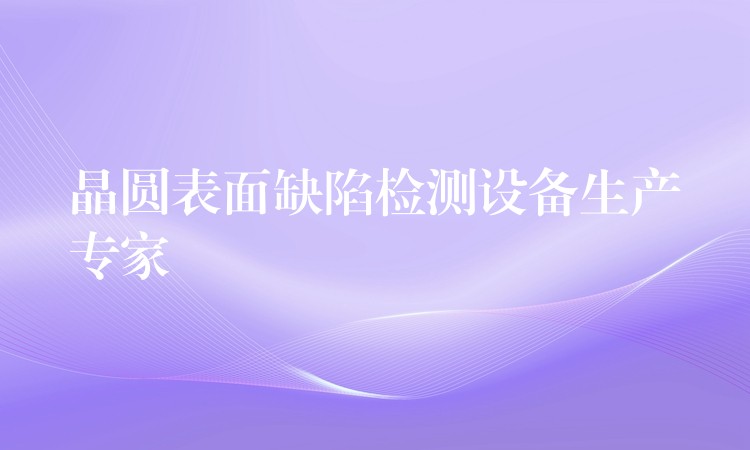 晶圓表面缺陷檢測設備生產專家