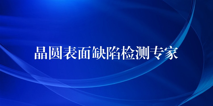 晶圓表面缺陷檢測專家