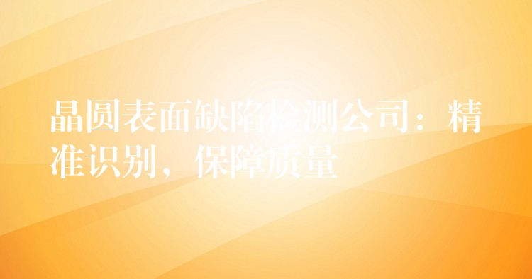 晶圓表面缺陷檢測公司：精準識別，保障質(zhì)量